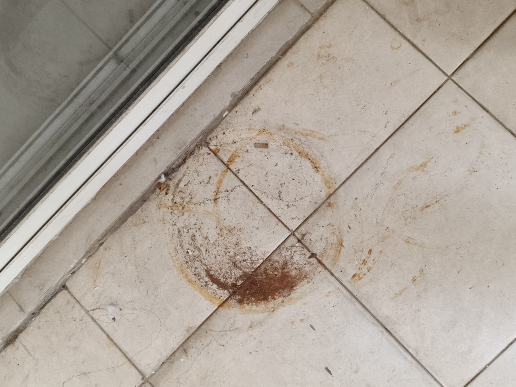 Circular floor rust/planter stain and dirty track zone included under deep cleaning